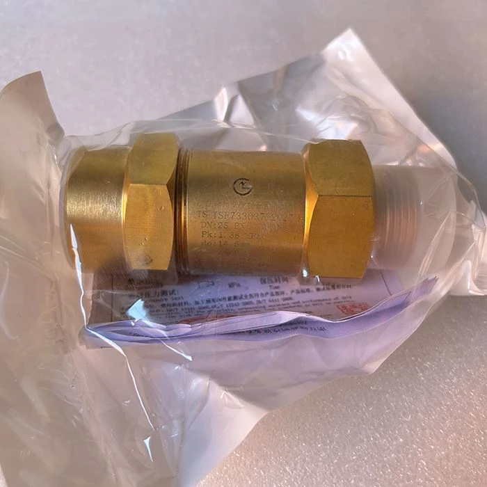 Trane Relief Valve